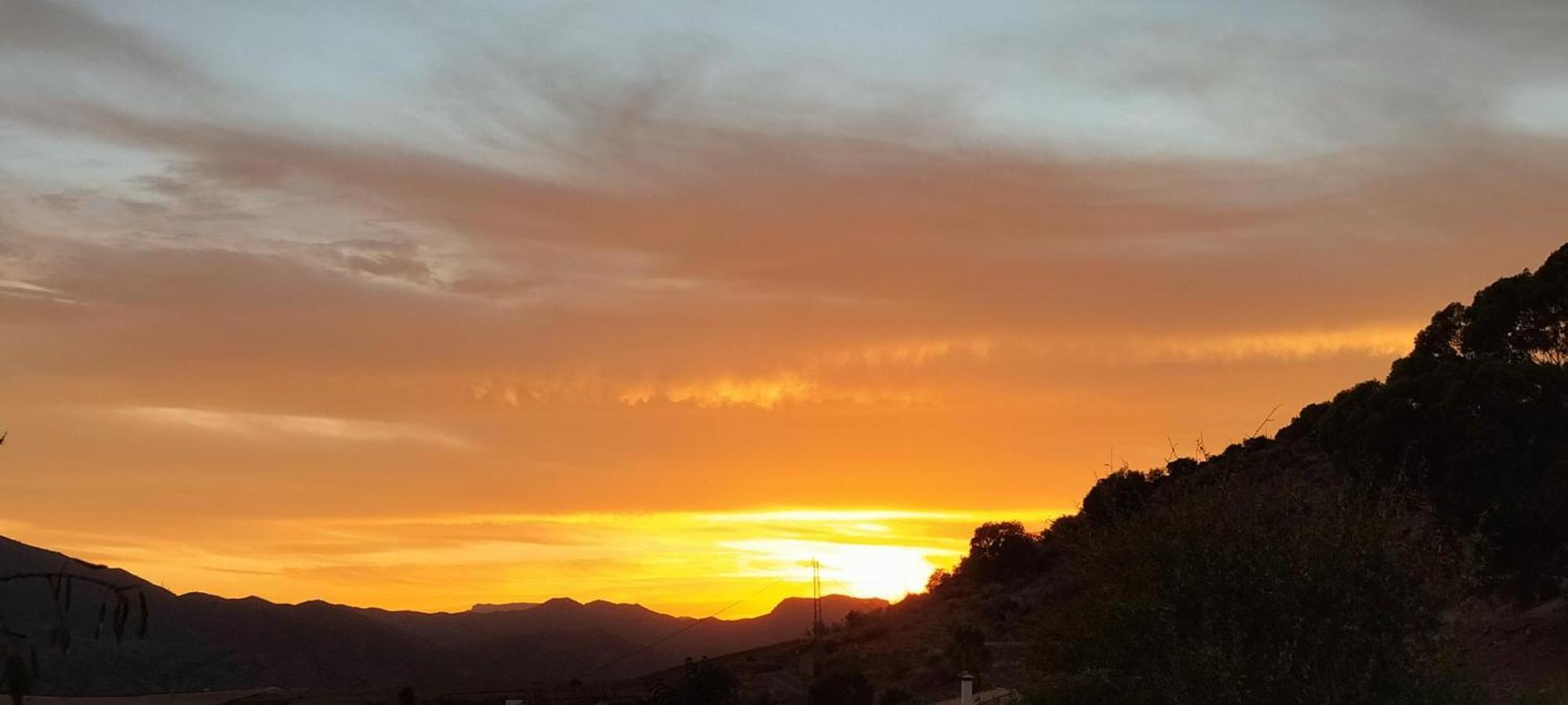 Casa Ceratonia Bed and Breakfast Alora Εξωτερικό φωτογραφία