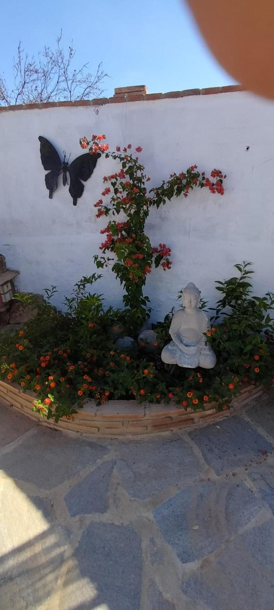 Casa Ceratonia Bed and Breakfast Alora Εξωτερικό φωτογραφία