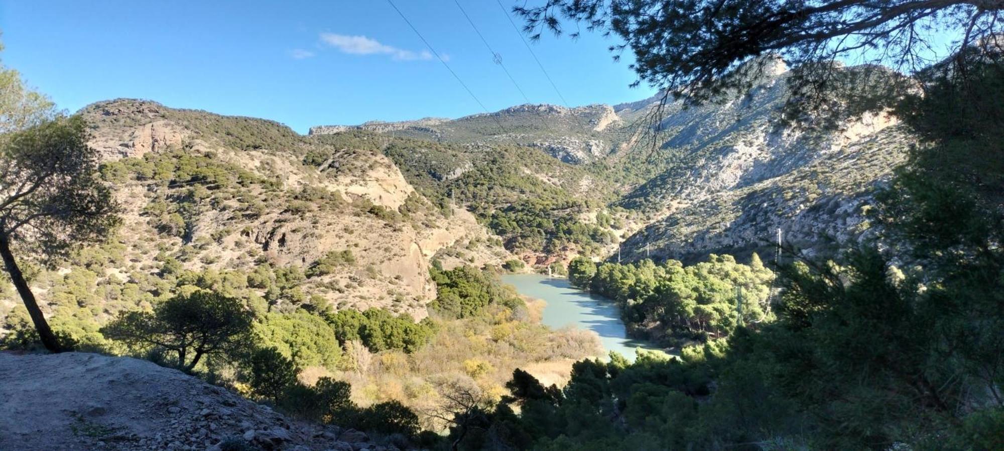 Casa Ceratonia Bed and Breakfast Alora Εξωτερικό φωτογραφία