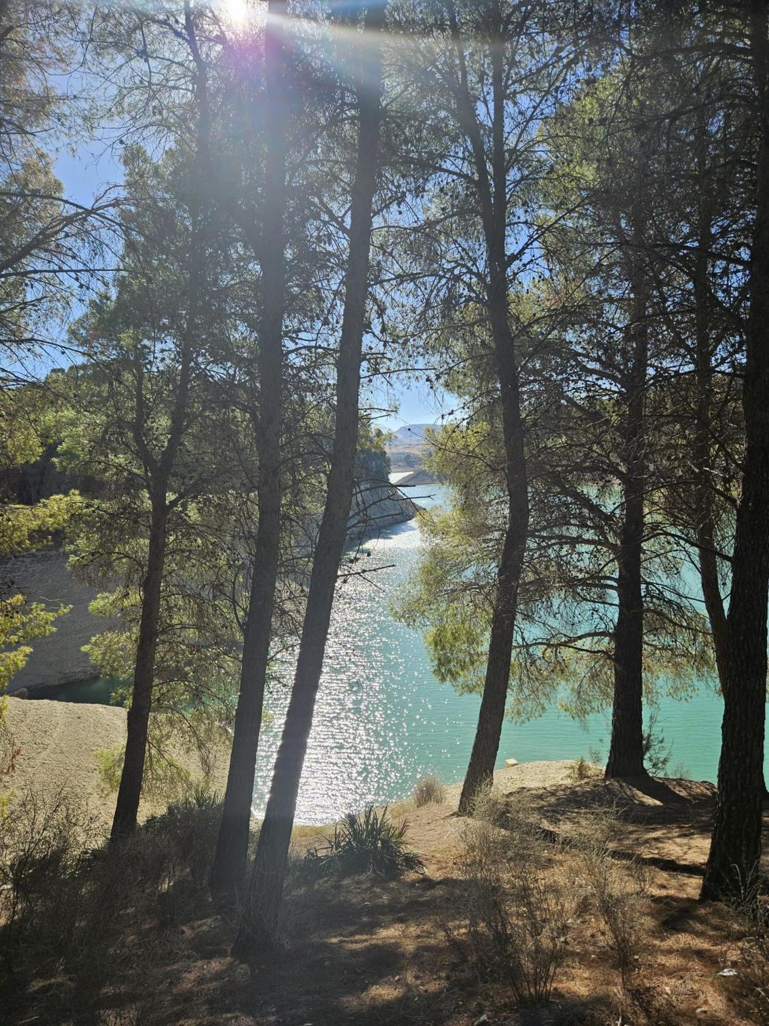 Casa Ceratonia Bed and Breakfast Alora Εξωτερικό φωτογραφία
