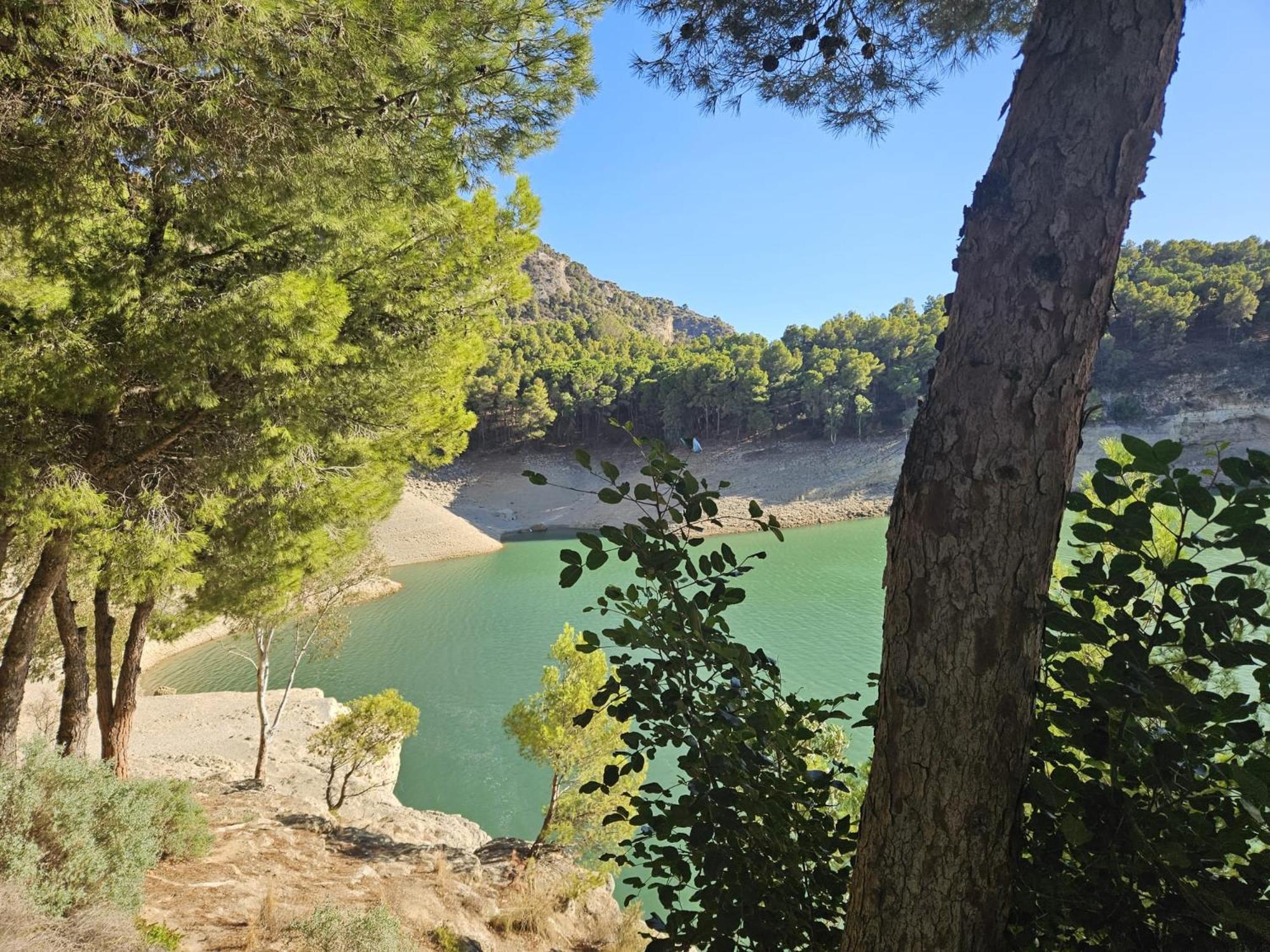 Casa Ceratonia Bed and Breakfast Alora Εξωτερικό φωτογραφία