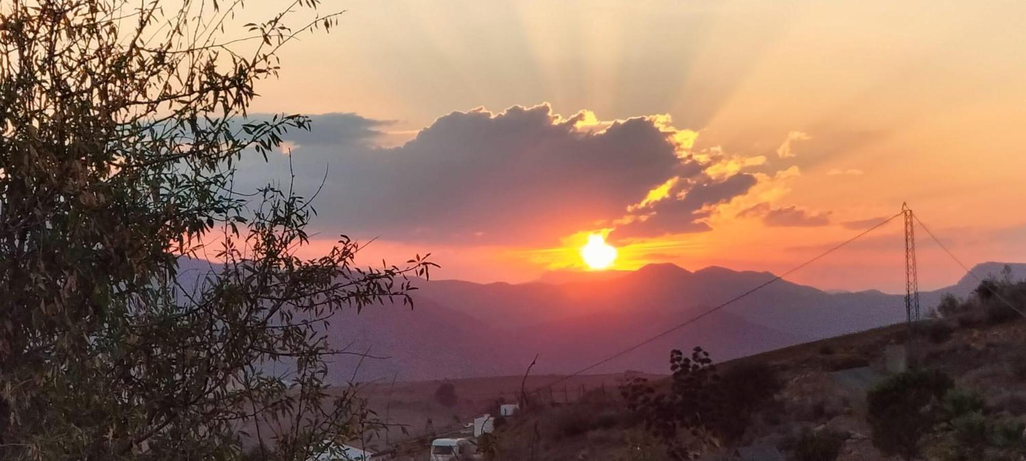 Casa Ceratonia Bed and Breakfast Alora Εξωτερικό φωτογραφία